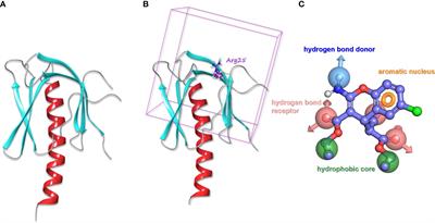 In silico high-throughput screening system for AKT1 activators with therapeutic applications in sepsis acute lung injury